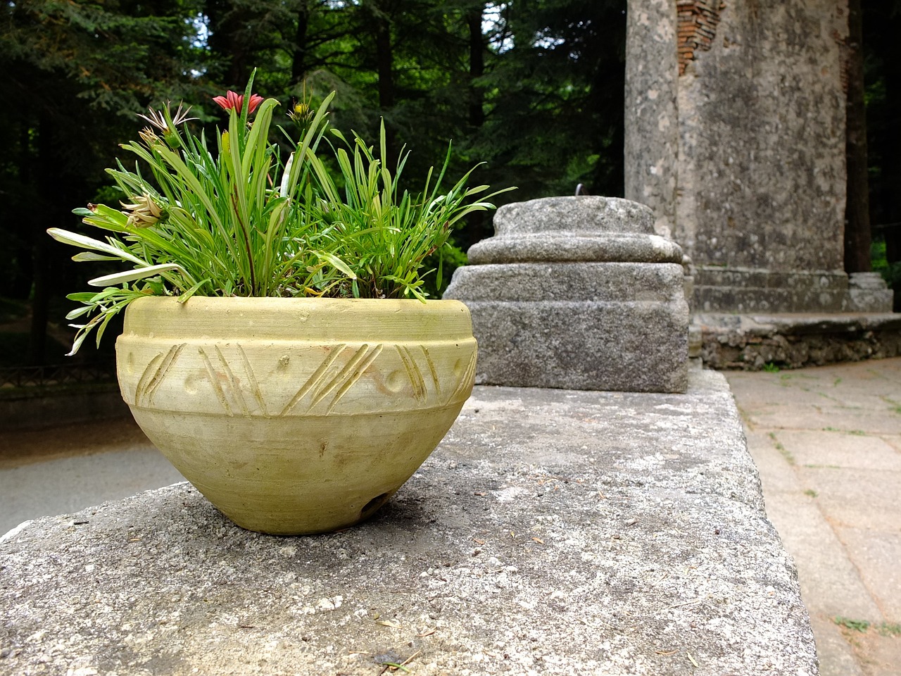 苏州五一花坛常用花卉品种及锡山区盆景花卉租赁外包探讨苏州花盆厂  第1张